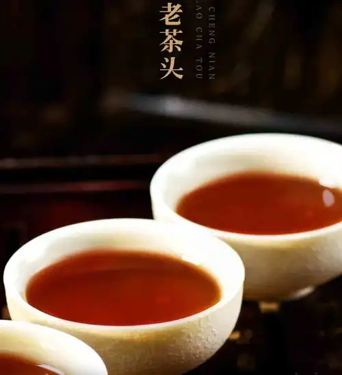 普洱茶老茶头的价格品质与购买指南值得投资吗