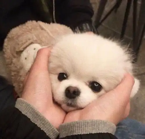幽默笑话让你也体会一下有一个不争气的儿子是什么感受