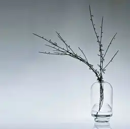 幸福,像花儿一样第二自然