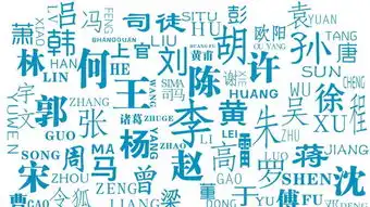 最小萌新15岁明院2019级新生大数据来啦