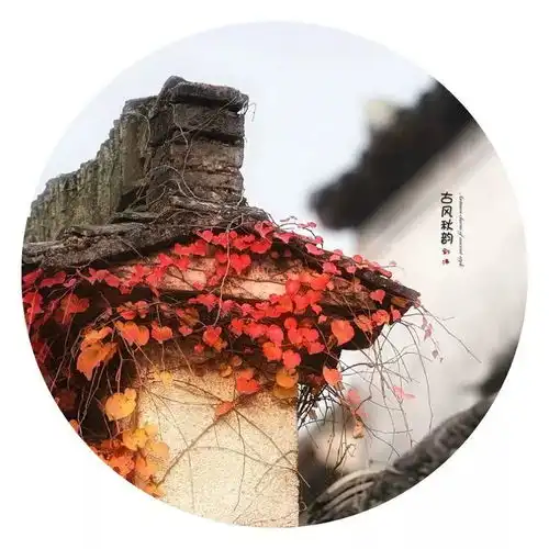 古风秋韵剑佛