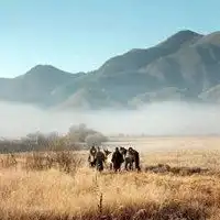 高品位风景微信头像有品位美丽风景头像