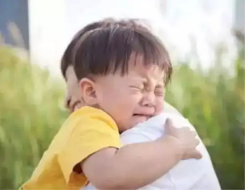 听说带娃能累成狗,看看儿子眼里的画面是怎样的