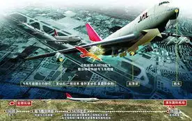怀疑遭鸟击备降浦东机场日航客机空载返回