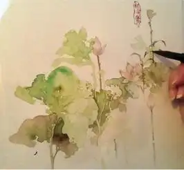 水彩画插图教程用水彩diy睡莲的详细图解