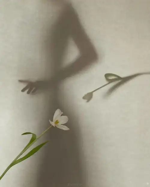 要我说,这是女摄影师自拍的天花板