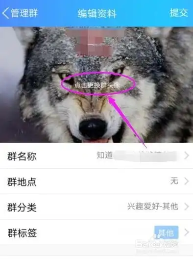 怎么更换qq群头像