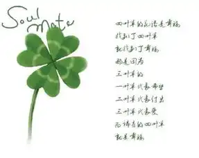 幸运草的图片