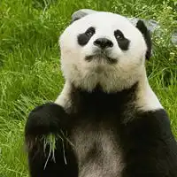 测试一个超长简介的文章