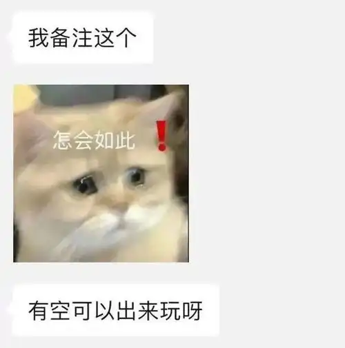 nft圈子的约pao日常