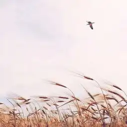 天已黑