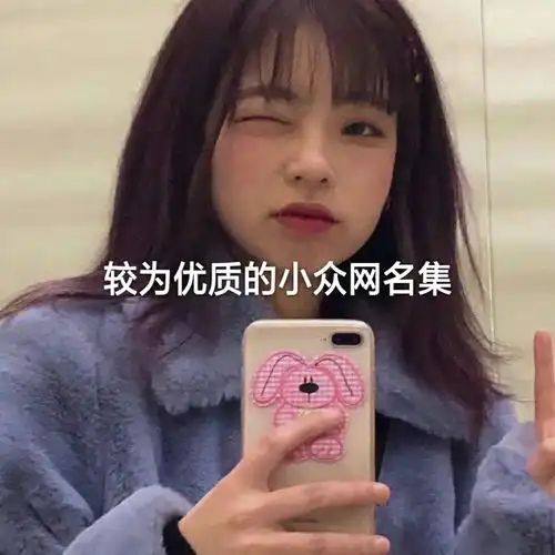 原宿风网名小众文案故事的开始已经注定了结局