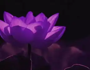 难以置信这些照片竟是用傻瓜机拍的