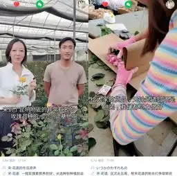 快手花痴线上开设花艺速成班零基础快速晋升花艺达人