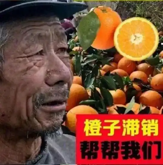 没想到你是这样的大爷卖什么,什么滞销真相令人愤怒