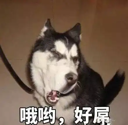测试一个超长简介的文章