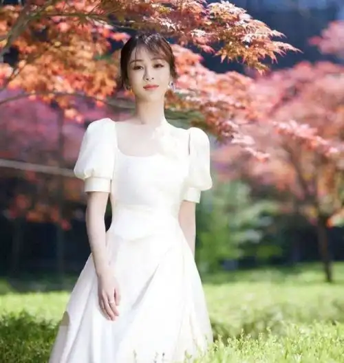 分开叫杨紫秦俊杰,女方红透半边天,男方靠胡辣汤维持热度