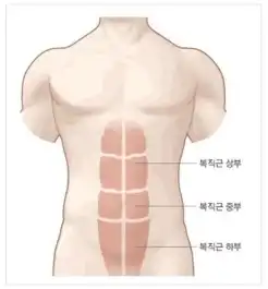 下腹肌是否锻炼不出来这才是最全的腹肌锻炼法