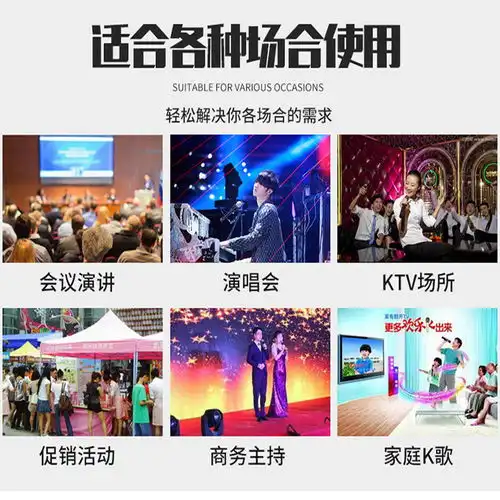 无线蓝牙车载麦克风全民k歌话筒家用k歌神器户外音响一体掌上ktv