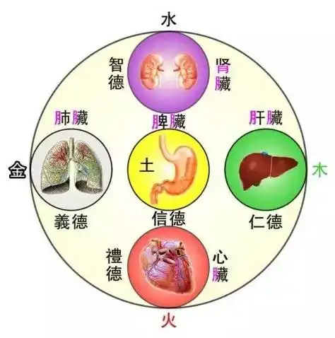 中医五行五脏五官五味五色五情等,记住这些你就是半个中医