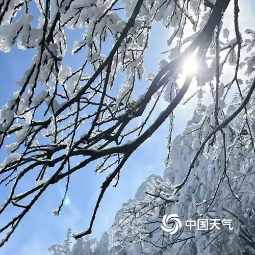 四川峨眉山银装素裹云雾缭绕美成仙境