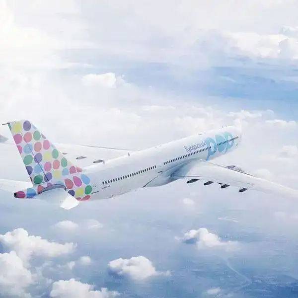 航空业恢复,飞机和人力资源成本降低疫情下新航司层出不穷