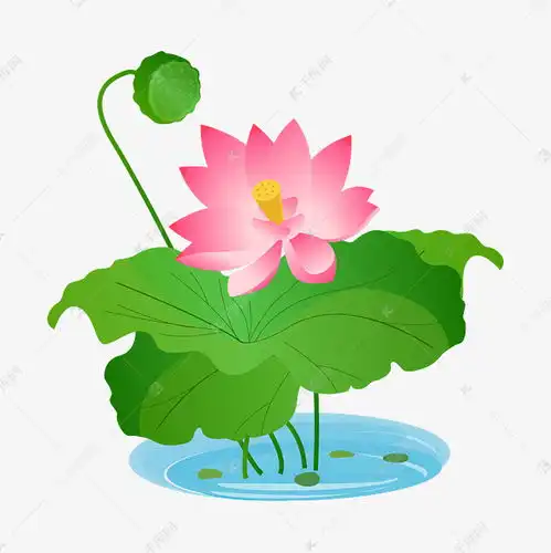 卡通粉色莲花免扣素材图片免费下载千库网