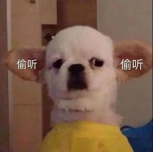 女院新生入学答疑人文篇