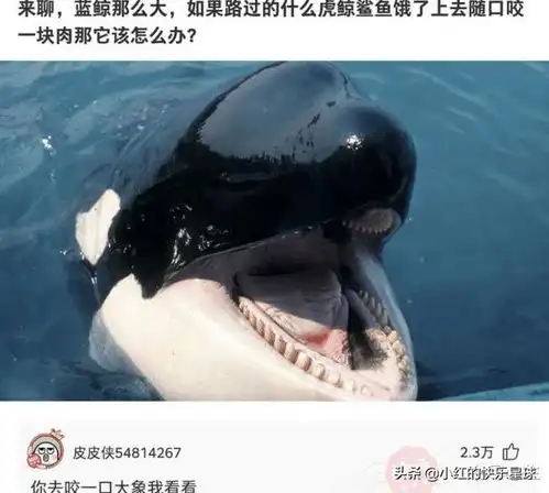 当代大学生与父母的聊天记录,不行了,我先笑一会