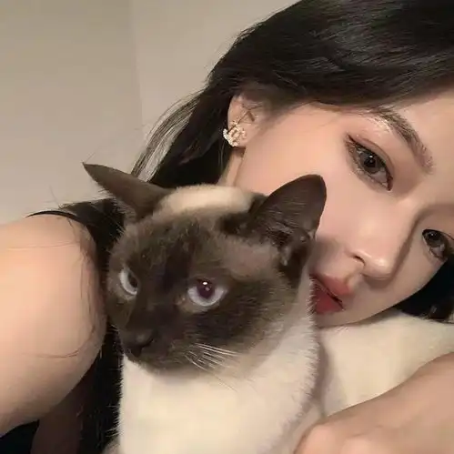 超好看的头像,爱不释手