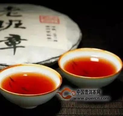什么品种的茶做普洱茶好喝又香挑选香醇口感的关键因素与推荐