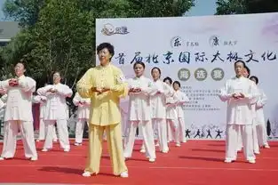 是谁在练太极搞得风生水起为争武林盟主数百名高手云集亦庄