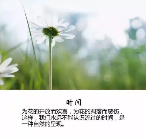 发现美好,感恩拥有