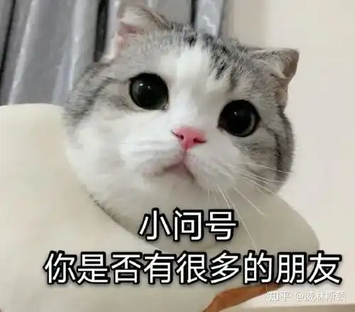 请留下一样你们引以为傲的表情包