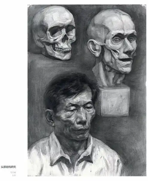 广美风素描长啥样广美基础部留校作品欣赏