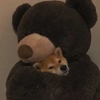 玩偶呐