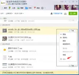 不小心在网上qq群发了不该发的文件怎样删除