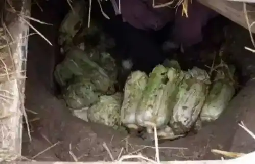 侯马人99的都吃过这些看完泪奔