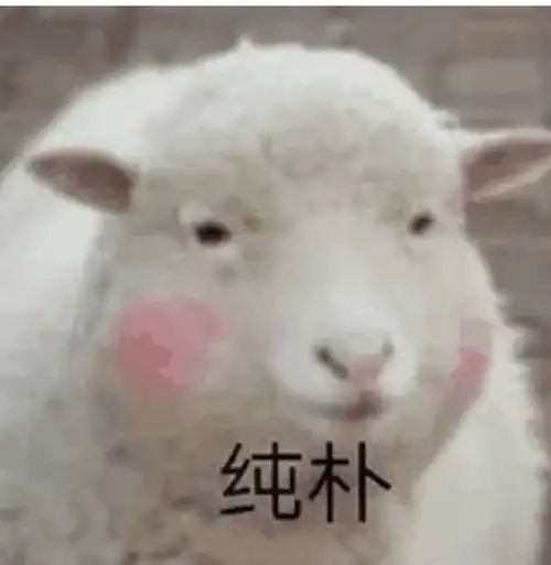 看直播时想到的,幸灾乐祸