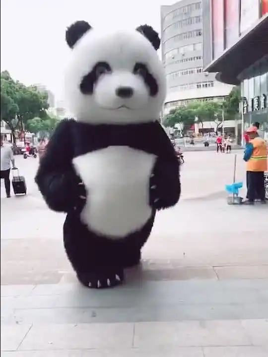 国宝熊猫,广场卖萌,走近了看,好大的一只.