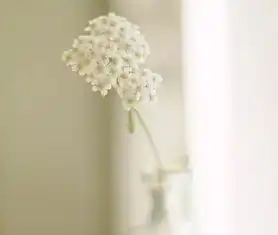 随心随意随缘