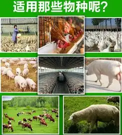 潲水泔水秸秆发酵剂那里有卖的?-黄页88网
