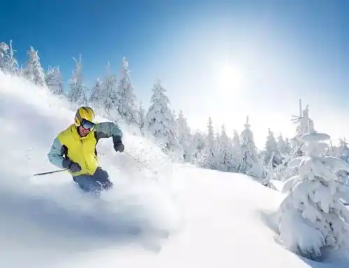 到长白山邂逅冰雪奇缘,2429元起享五星凯悦