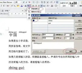 2013wps中如何只写拼音和声调不写汉字