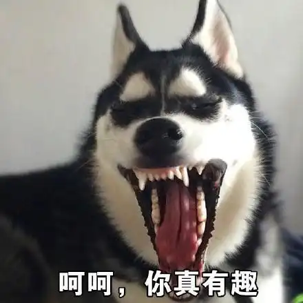 搞笑段子结果老婆又把我揍了一顿