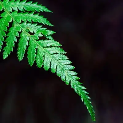 测试一个超长简介的文章