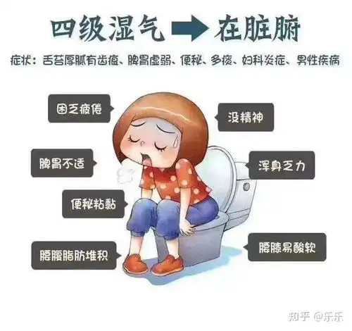 减肥的人为什么减不下去,原因就在这