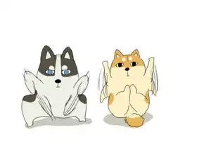 小猫和小狗很萌的动漫头像