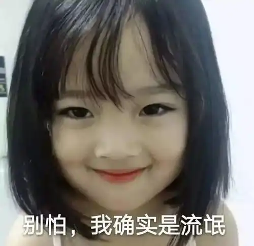 vuejs中路由器的两种模式哈希模式与历史模式