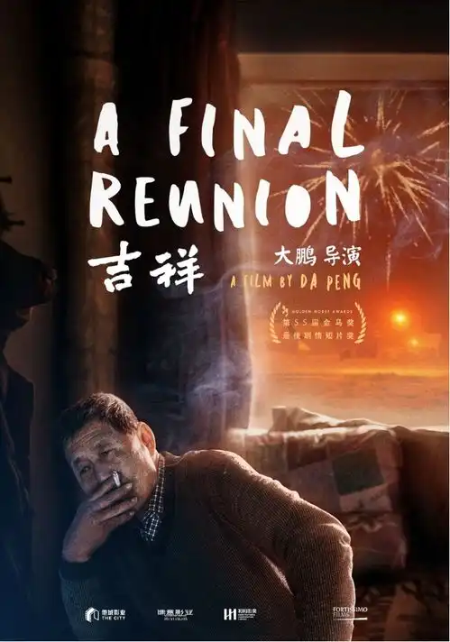 陈思诚服了马未都哭了,大鹏新作被同行奉为神作有三个关键点